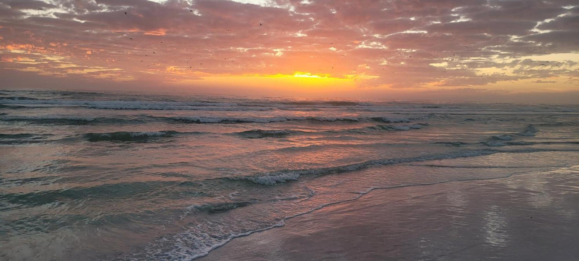 Siesta Key Condo - On The Water ! Zewnętrze zdjęcie