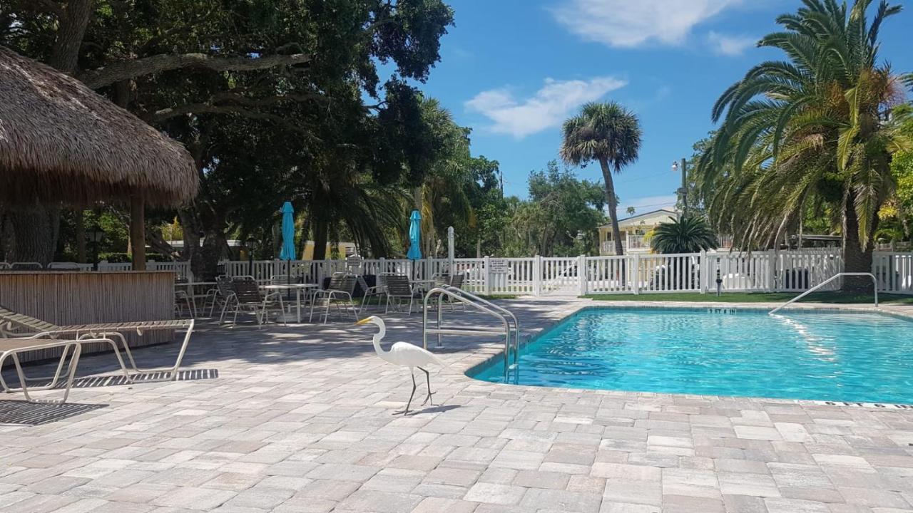 Siesta Key Condo - On The Water ! Zewnętrze zdjęcie